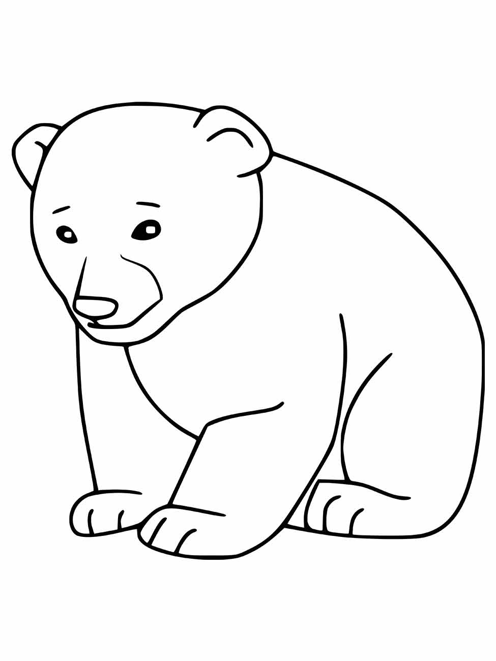 urso para colorir 3