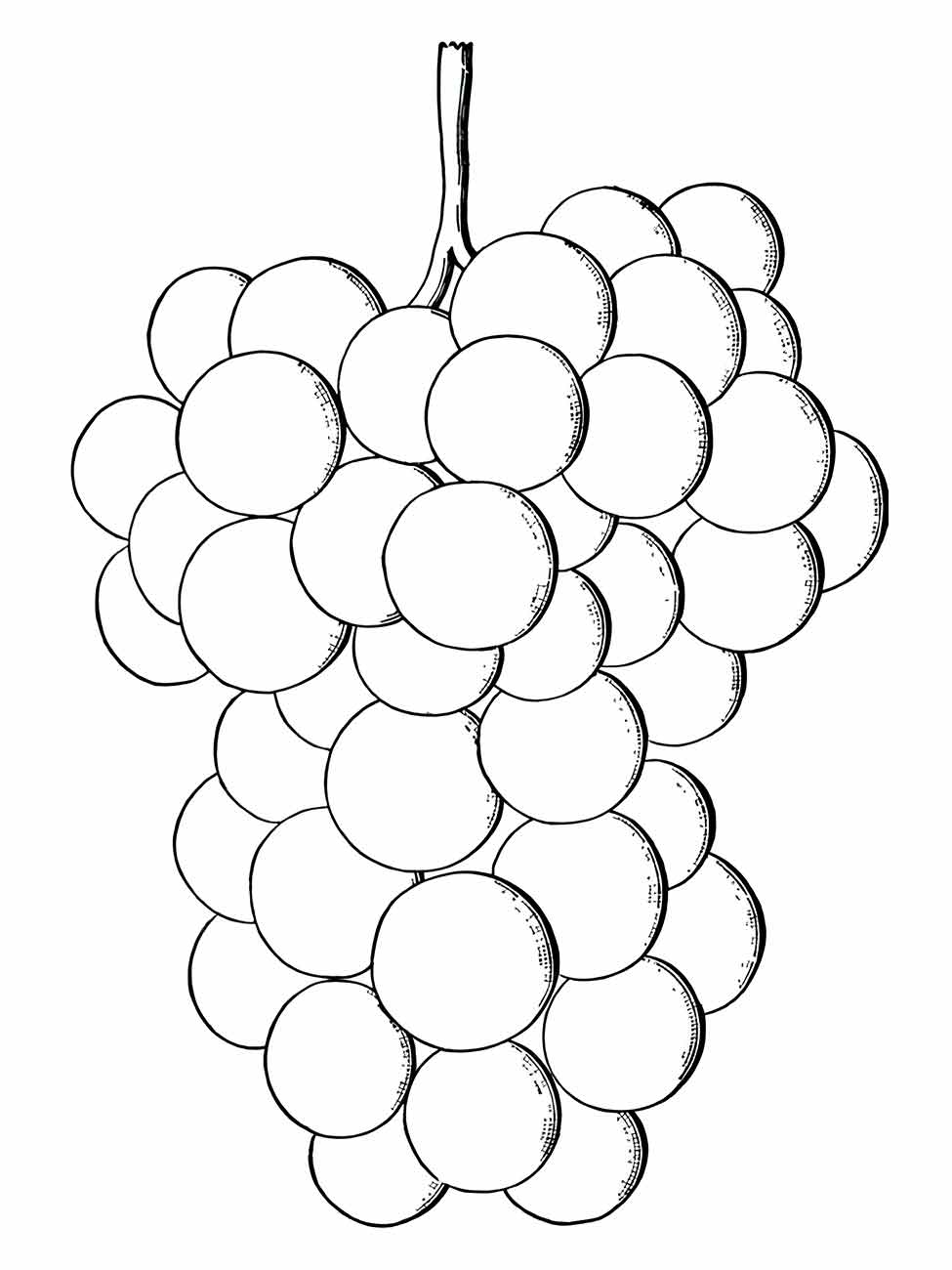 uvas para colorir 9