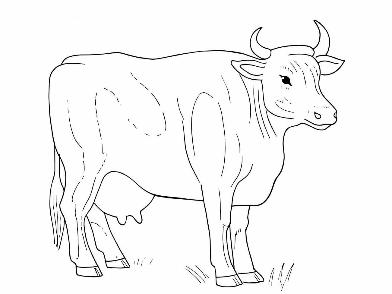 vacas para colorir 22