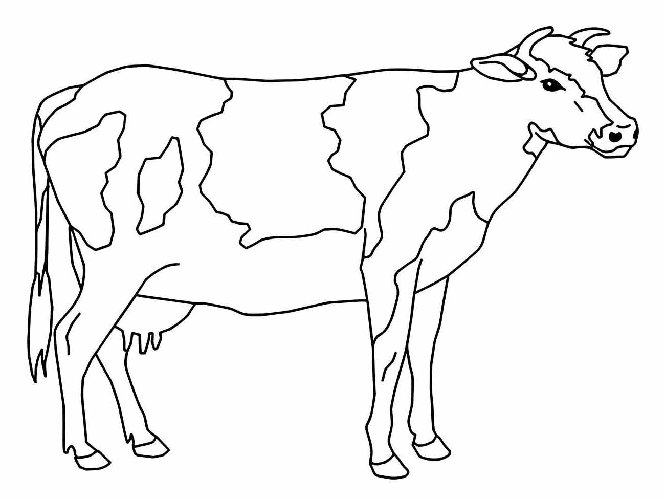 vacas para colorir 3