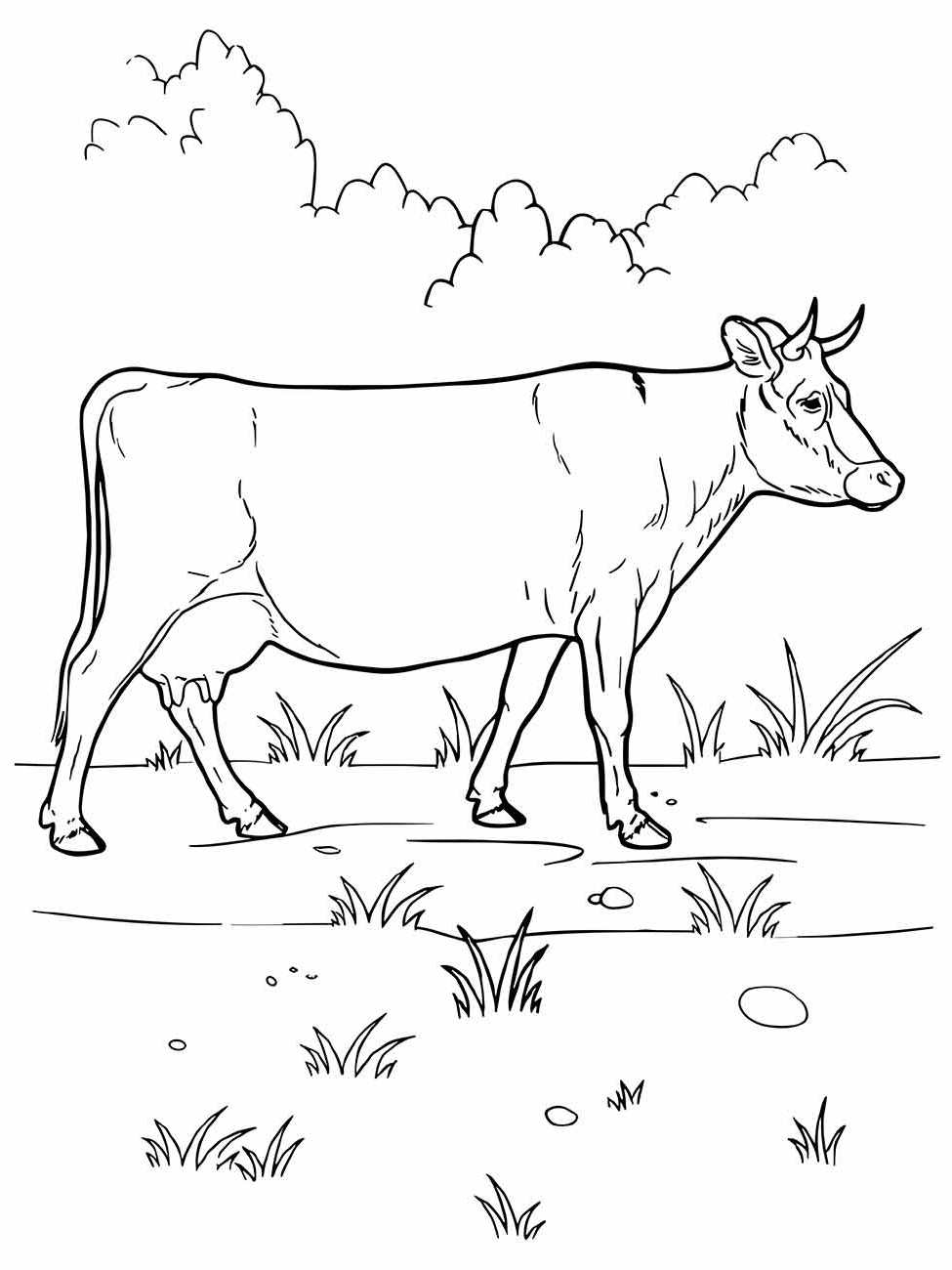 vacas para colorir 31