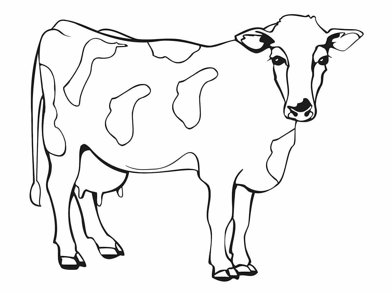 vacas para colorir 5