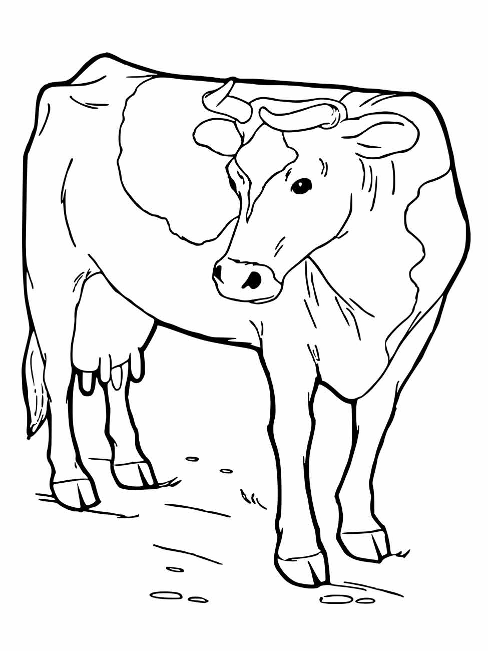 vacas para colorir 7