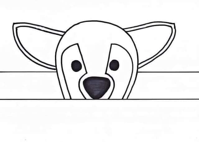 Coroa de animais (7)