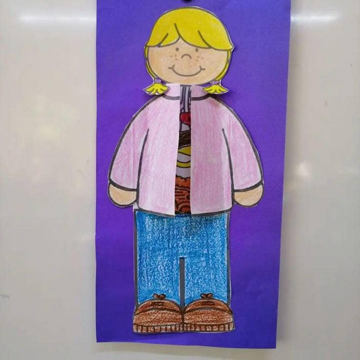 Atividade corpo humano para educação infantil: órgãos internos para imprimir e montar