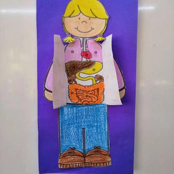Molde 2 - Atividade corpo humano para educação infantil: órgãos internos para imprimir e montar para imprimir e recortar