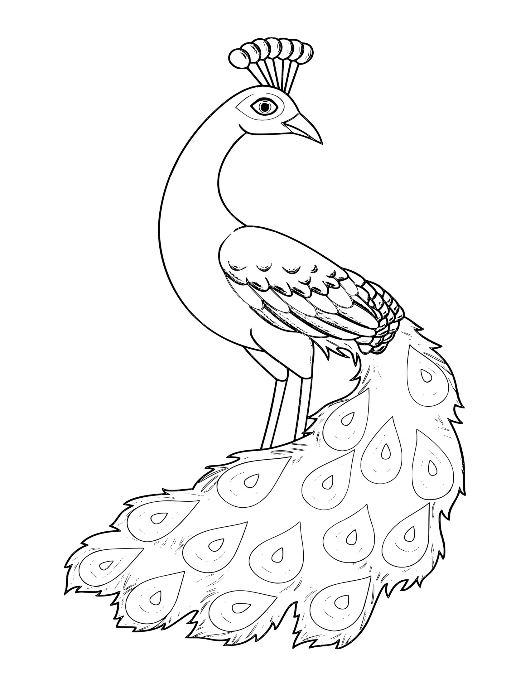 Desenho de Animal Fofo 18 - Desenhos de animais fofos para colorir e imprimir – Parte 5 para imprimir